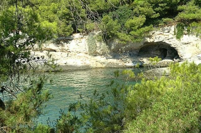 Kavos Bay Seafront Hotel Agia Marina  Экстерьер фото